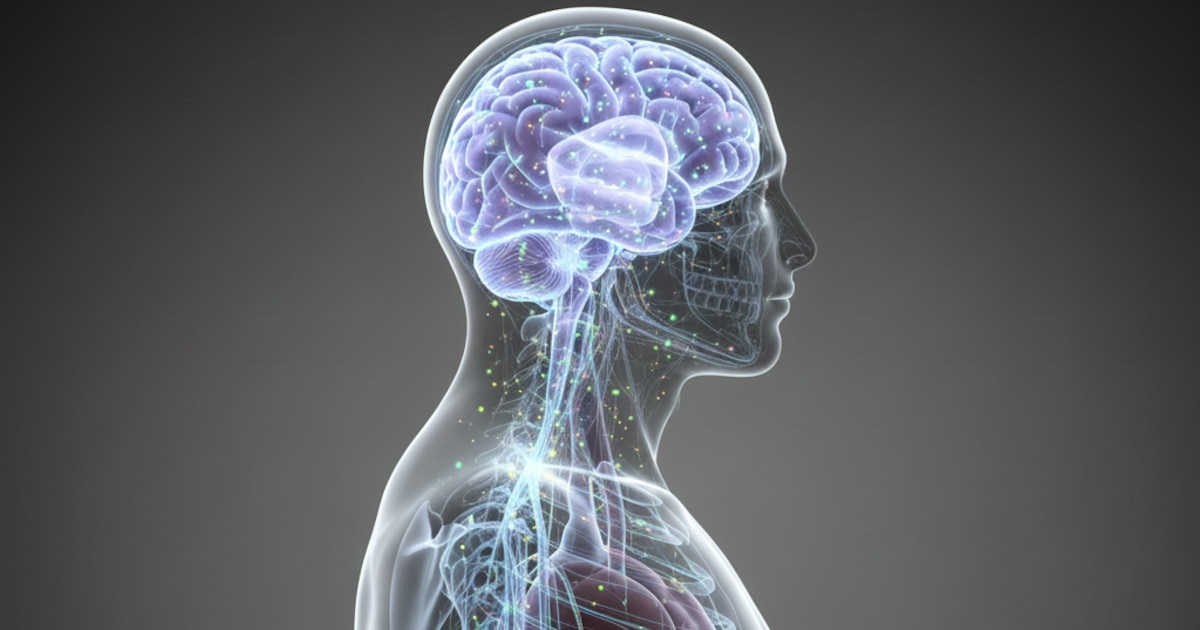 Más allá de las neuronas: el rol de los astrocitos en la memoria, el comportamiento y la salud mental