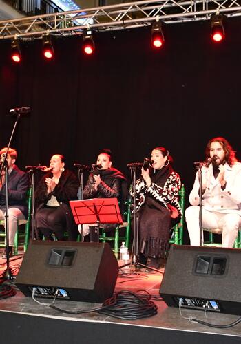 Zambomba Flamenca de altura este miércoles con El Berenjeno y su grupo