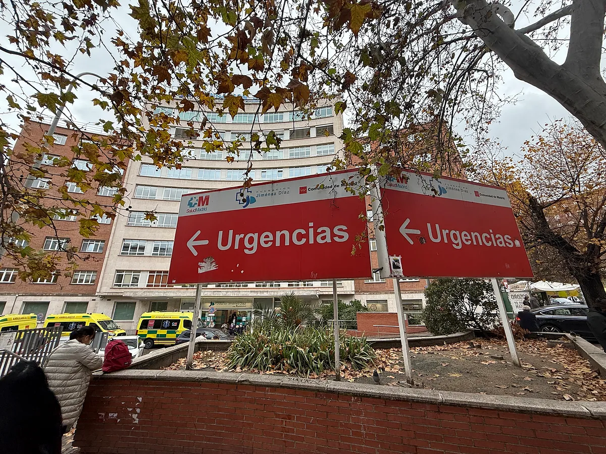 La gripe sigue al alza a las puertas de Navidad: "Está colapsando hospitales" - El Mundo