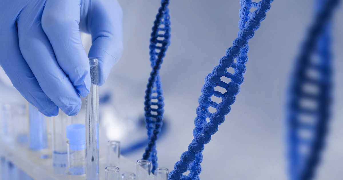 Analizan interruptores en el ADN que podrían influir en genes vinculados al Alzheimer