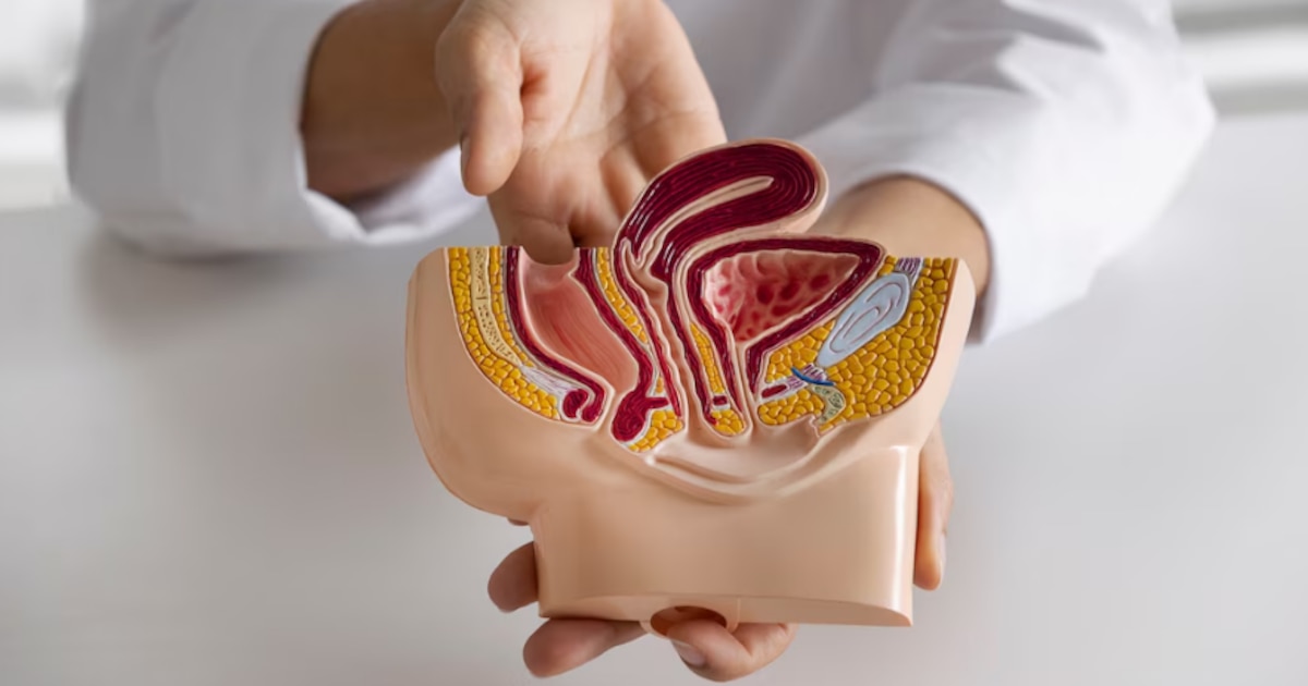 7 síntomas claves pueden alertar sobre el cáncer testicular, según expertos