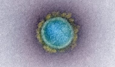 Las regiones críticas del virus SARS-CoV-2, reveladas