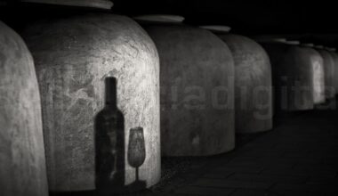 La Tahona del Castillo acoge hoy la entrega de los Premios Unicornio ~ Montilla Digital