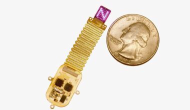 Un implante inalámbrico que le “habla” al cerebro mediante luz abre el camino a la posible recuperación de los sentidos perdidos