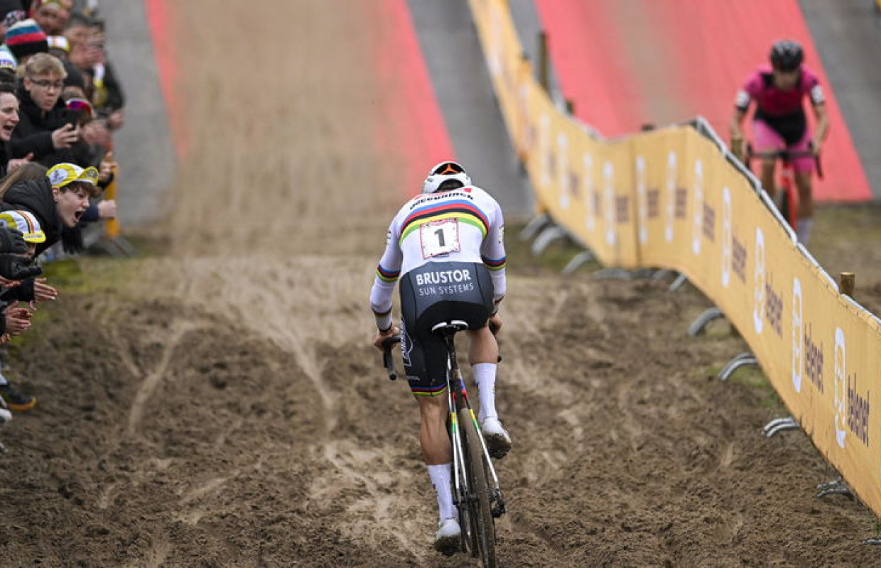Van Aert y Van der Poel vuelven a verse hoy las caras en Hofstade
