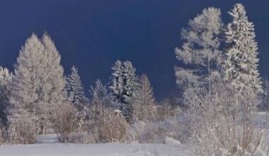 La soledad sonora - Ofrenda Musical