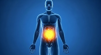 Expertos de Harvard Health Publishing