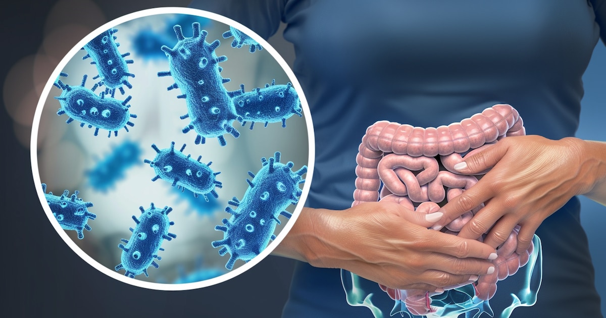 Los ocho errores alimentarios que alteran el microbioma intestinal y cómo evitarlos