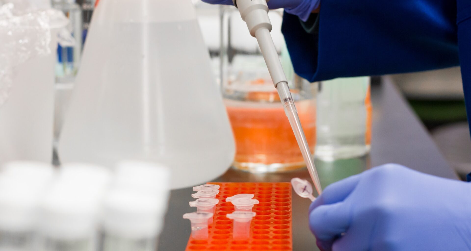 Ir a inicio. La Moncloa