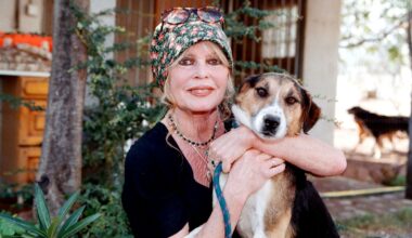 Architectural Digest México y Latinoamérica