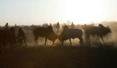La ONU reafirma la integridad territorial de Somalia tras el reconocimiento de Somalilandia por Israel