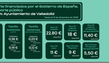 El Ayuntamiento exigirá al Ministerio que vuelva a subvencionar el 30% el billete de autobús urbano