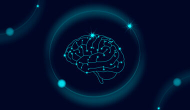 Hacia el atlas del cerebro