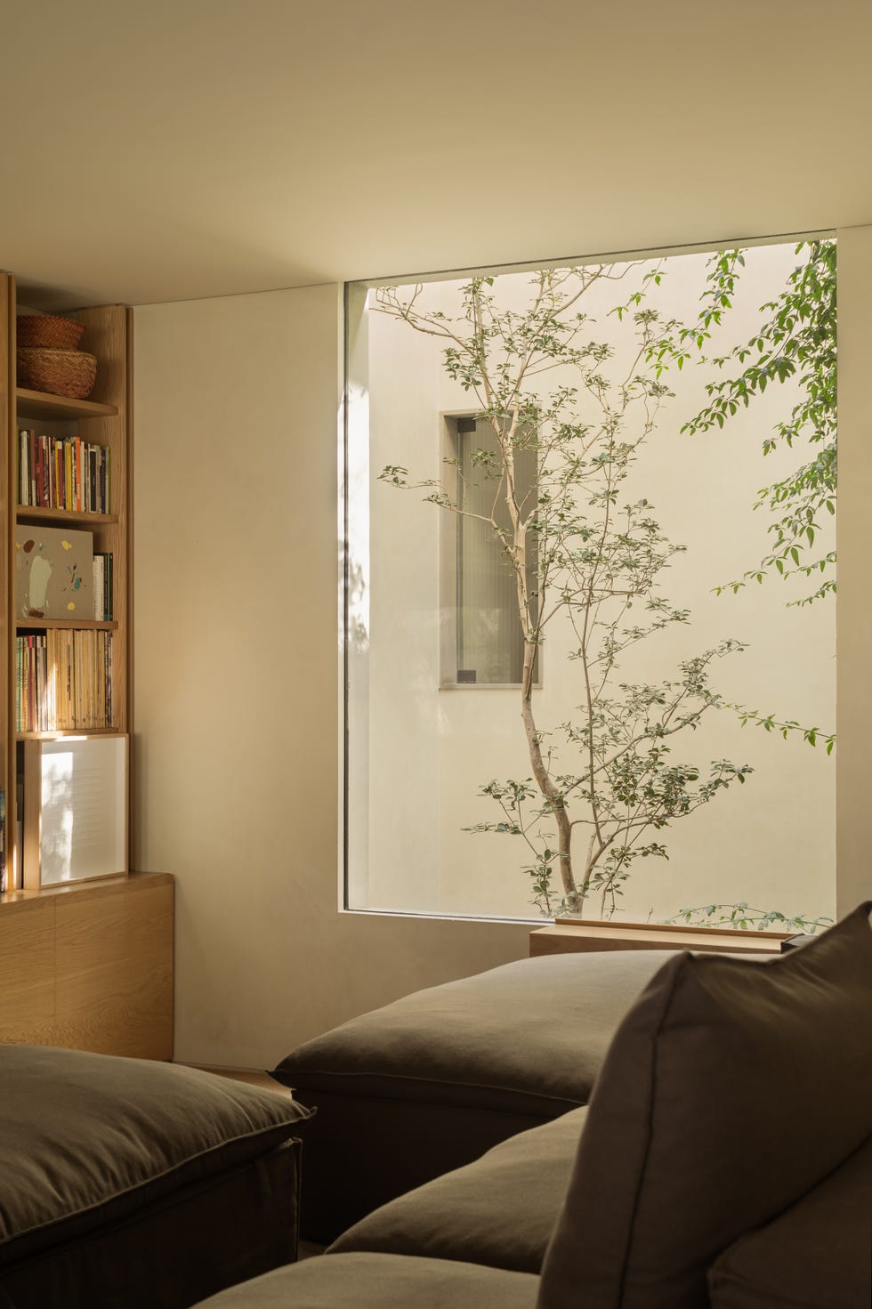 Esta casa de 6 metros de ancho tiene árboles en medio del patio interior y una escalera que atraviesa la casa sin pasar por ninguna habitación casa 6 metros ancho arboles medio patio interior escalera atraviesa casa sin pasar por habitacion