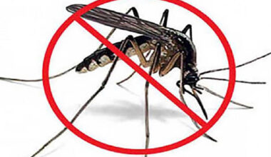 Intensas jornadas contra la arbovirosis en Las Tunas