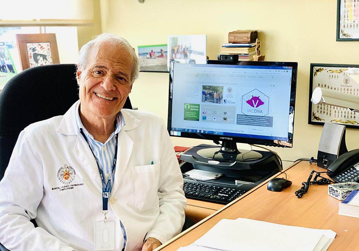 José Manuel Sánchez-Vizcaíno: «Estoy convencido de que habrá vacuna frente a la peste porcina africana»