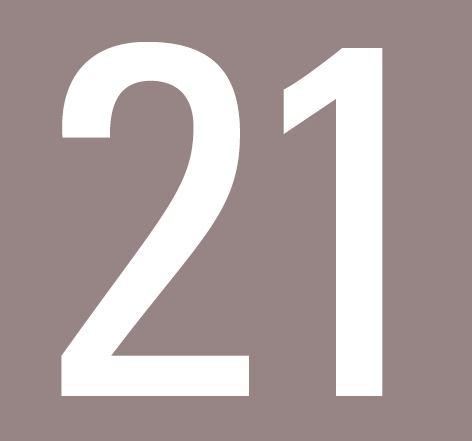 Línea 21