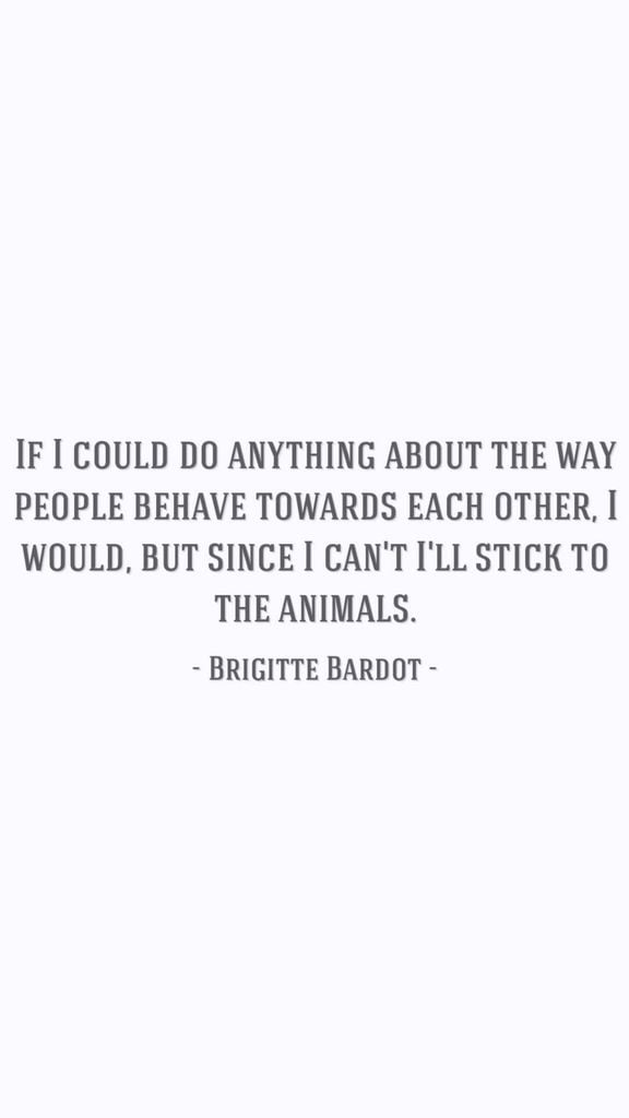 Dardo de Nicola Peltz a la familia Beckham