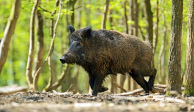 Ir a inicio. La Moncloa