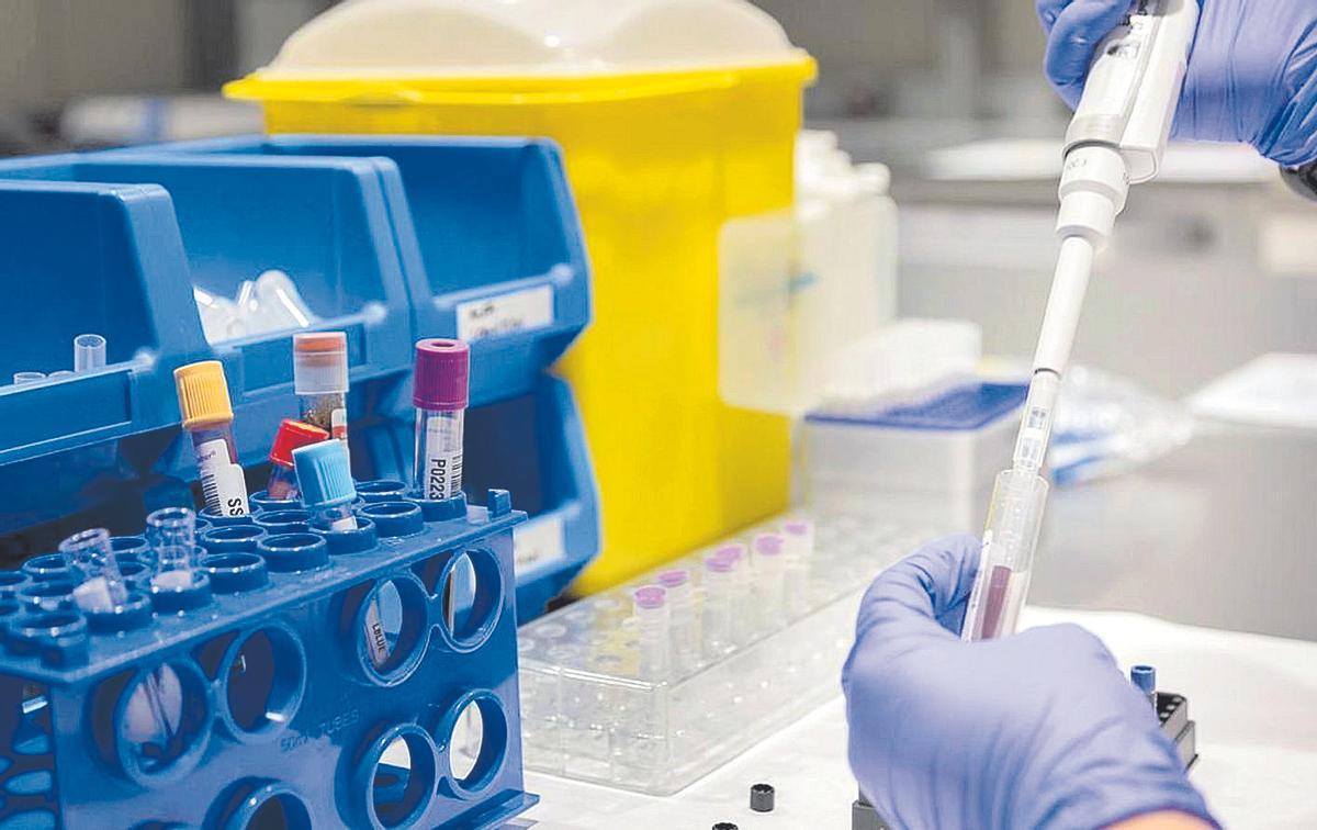 Análisis de sangre para detectar en alzhéimer en la Fundación Pasqual Maragall.