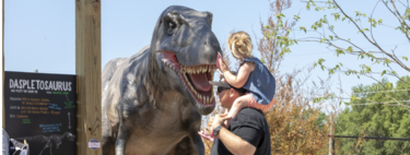 Cuando un parque temático de dinosaurios cerró, miles de familias vieron una oportunidad: plantar los muñecos en su jardín