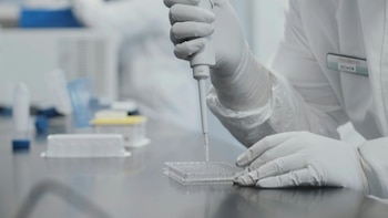 Llevar los resultados del ARN