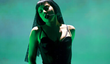 Lady Gaga pausó un concierto luego de que su bailarín se cayera del escenario