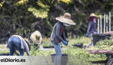 Trump constata el efecto negativo de sus aranceles y anuncia una ayuda de 12.000 millones para el sector agrícola de EEUU