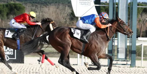 EL FAMILY DAY VOLVIÓ A LLENAR DE AMBIENTE Y EMOCIÓN EL HIPÓDROMO
