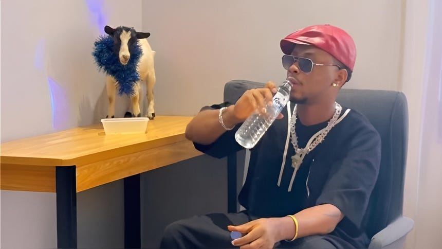 Rapero nigeriano Highstar Lavista es criticado por arrastrar a un cabrito durante concierto [VIDEO]