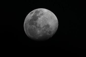 La ciencia confirmó por primera