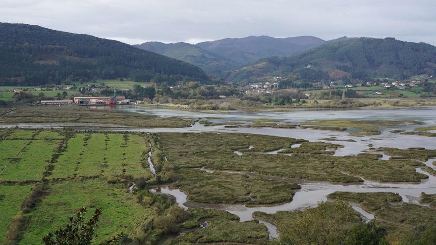 Las razones técnicas que han hecho que el Guggenheim de Urdaibai sea inviable