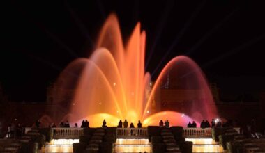 curarla costará casi medio millón al Ayuntamiento