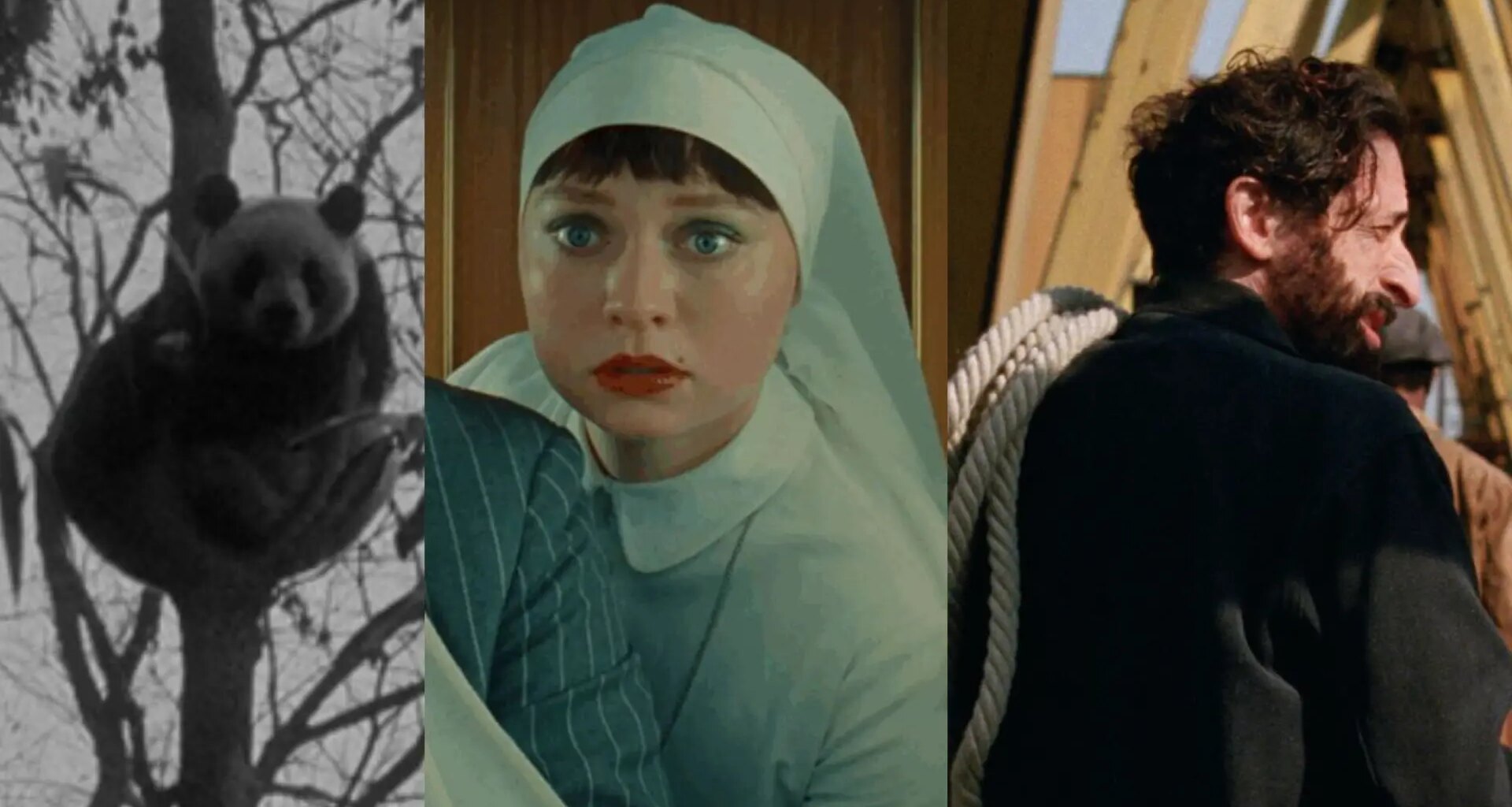 el ranking definitivo del mejor cine del año