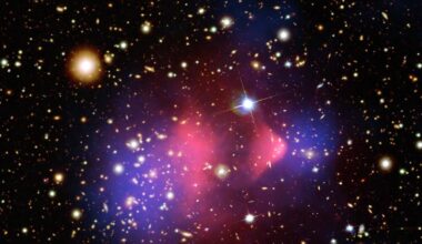 “Esta puede ser la primera huella directa”