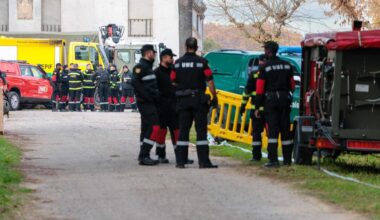 La zona cero de la peste porcina africana en Collserola, en imágenes