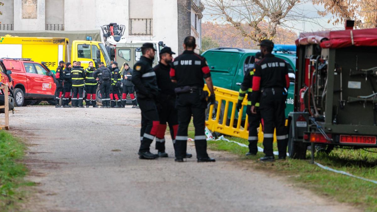 La zona cero de la peste porcina africana en Collserola, en imágenes