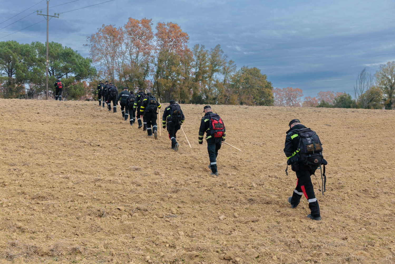 Efectivos de la UME de Aragón desplegados por una zona de Collserola de la población de Cerdanyola del Vallès en la búsqueda de posibles cadáveres de jabalís