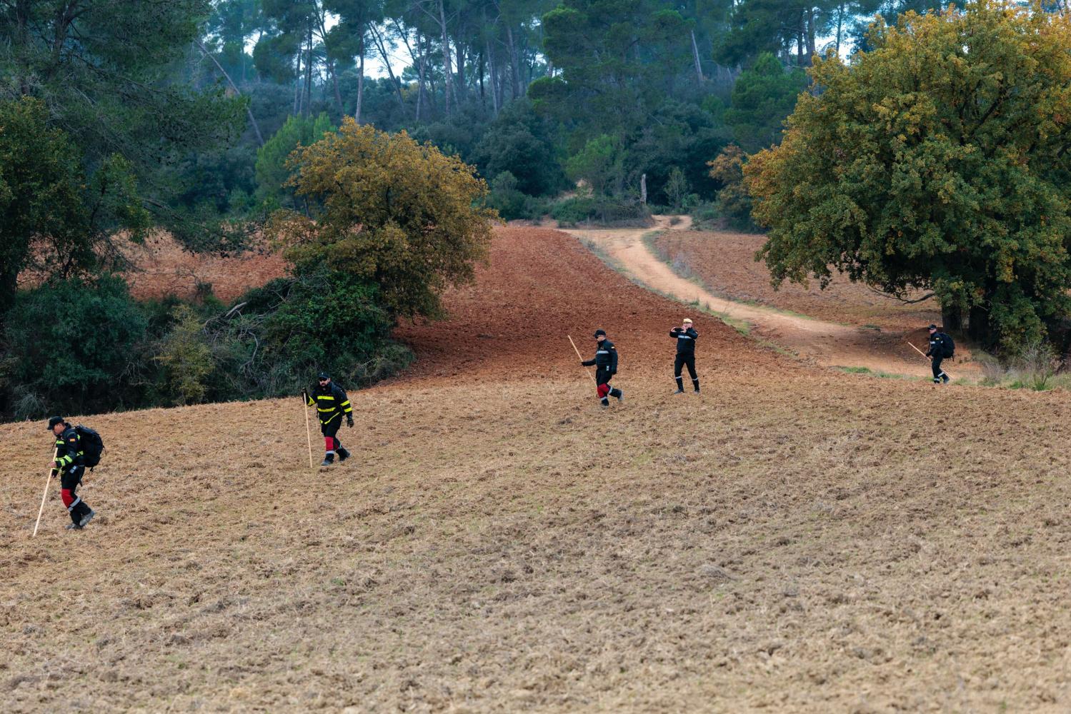 Efectivos de la UME de Aragón desplegados por una zona de Collserola de la población de Cerdanyola del Vallès en la búsqueda de posibles cadáveres de jabalís