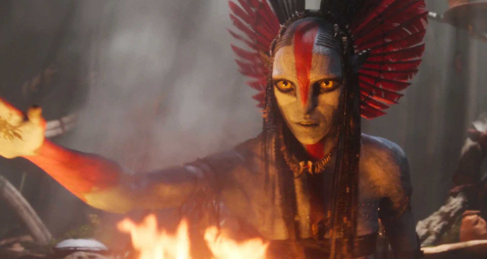 destrucción del medio ambiente y guerras