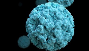 Descubren una variante de norovirus que ha disparado los brotes de gastroenteritis en todo el mundo