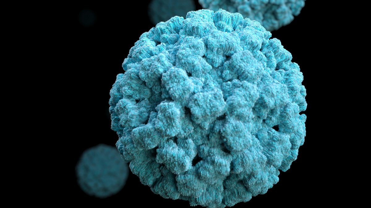 Descubren una variante de norovirus que ha disparado los brotes de gastroenteritis en todo el mundo