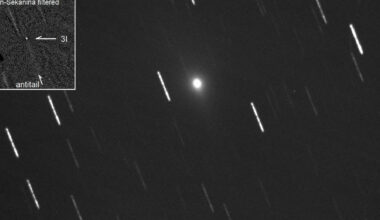 «Lo hemos observado muy bien»