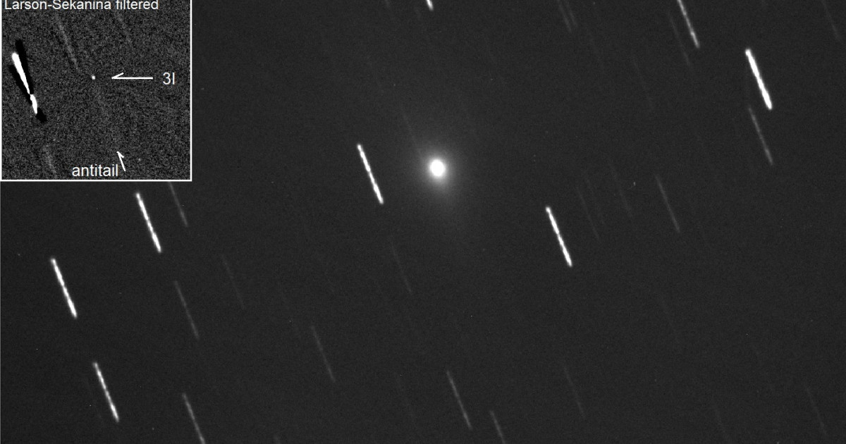 «Lo hemos observado muy bien»