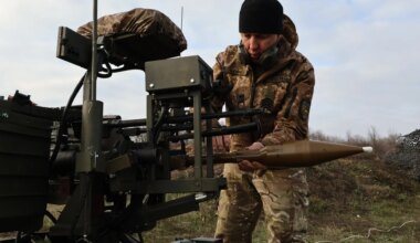 La quijada de un burro