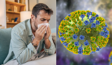 Ecuador reportó el primer caso de la 'supergripe' H3N2 variante K