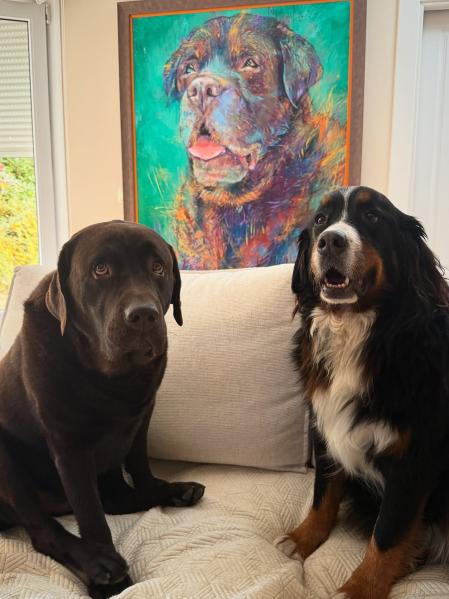 Los perros de Lara Álvarez.