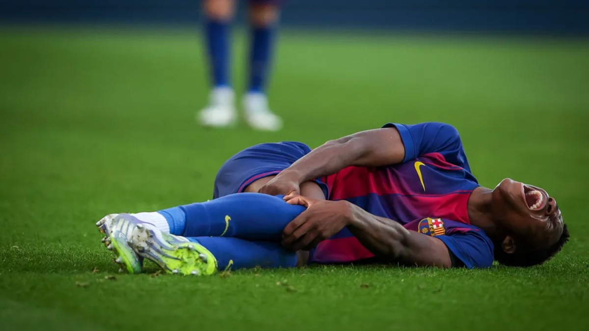 Sama Nomoko, 'KO' los próximos 12 meses