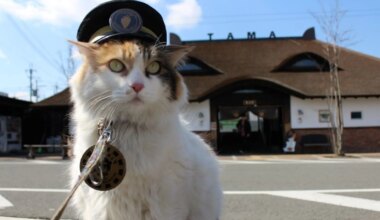 Japón despide con honores a Nitama, la famosa gata jefa de una estación de tren