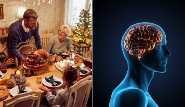 ¿qué efectos tiene comer en exceso el 24 de diciembre en su cerebro?
